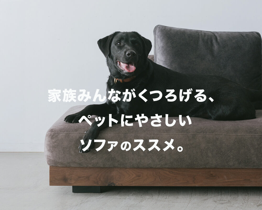 ペットと過ごす幸せ時間を叶えるソファとは?
