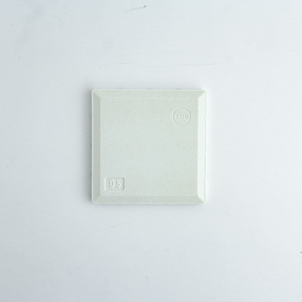 THE COASTER (Gray)