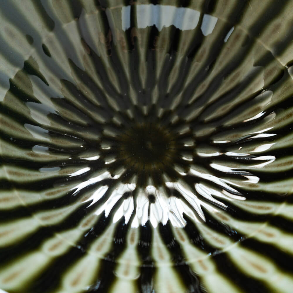 Focus 織部 輪二重6.5深鉢