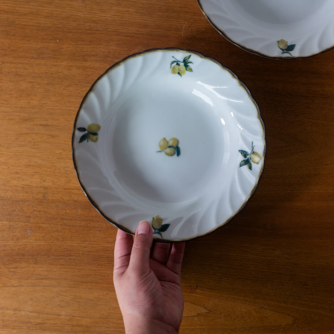 【WEB限定】 果実レモン 8吋スープ -器市-