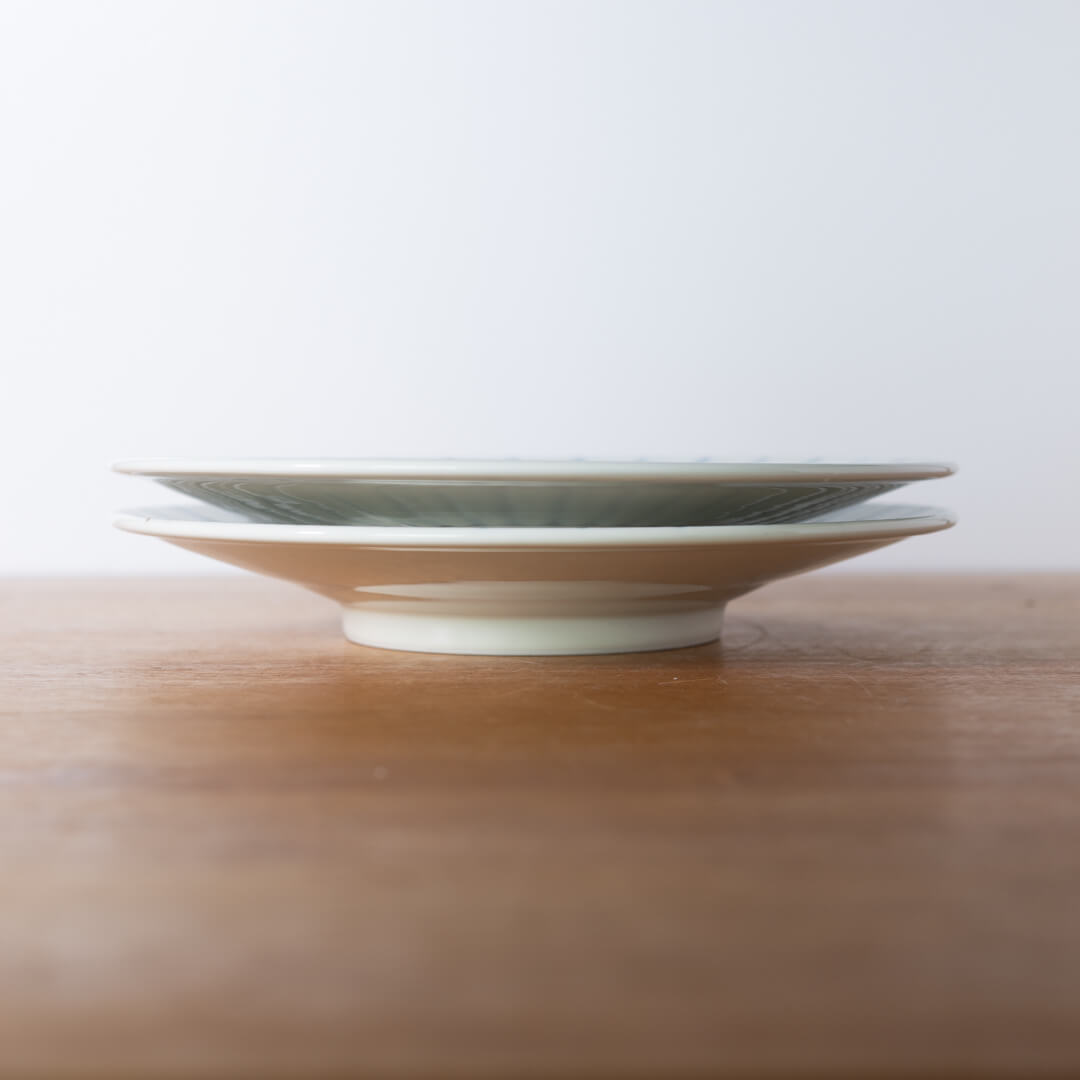 【WEB限定】Focus 白 輪二重9.5皿 -器市-