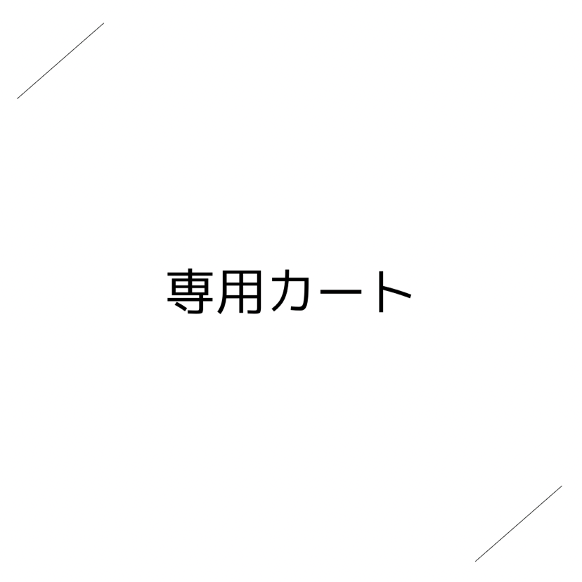 【専用カート(送料別)】
