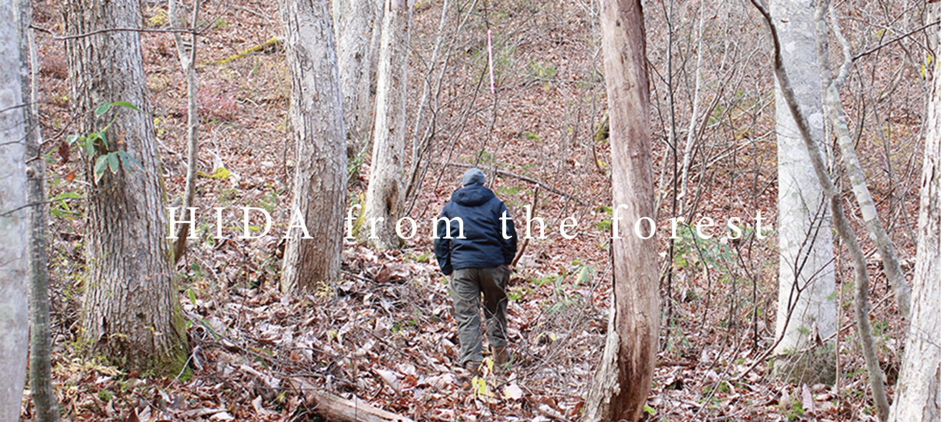 飛騨の森から　- HIDA from the forest –
