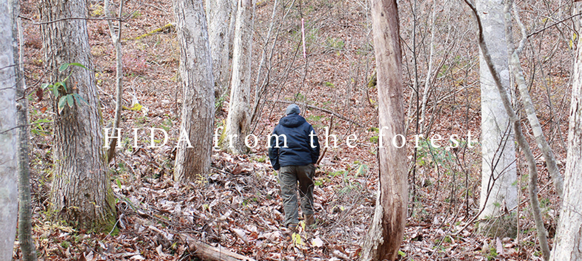 飛騨の森から　- HIDA from the forest –