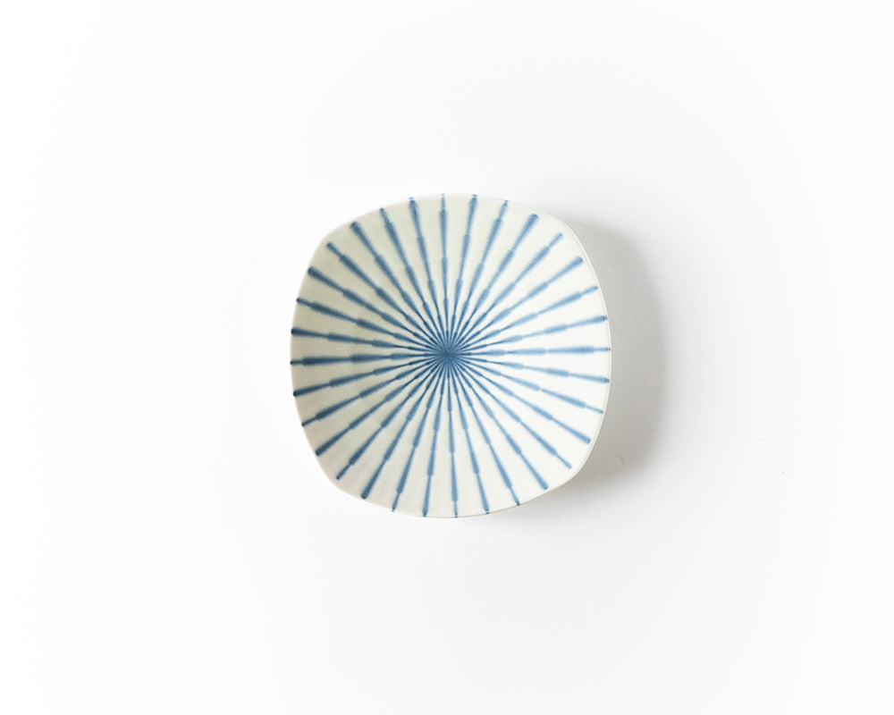 Focus 白 輪二重 角6.5皿