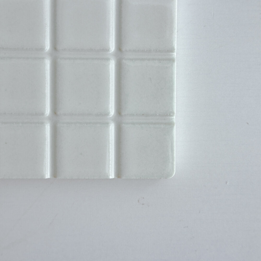THE COASTER (White)