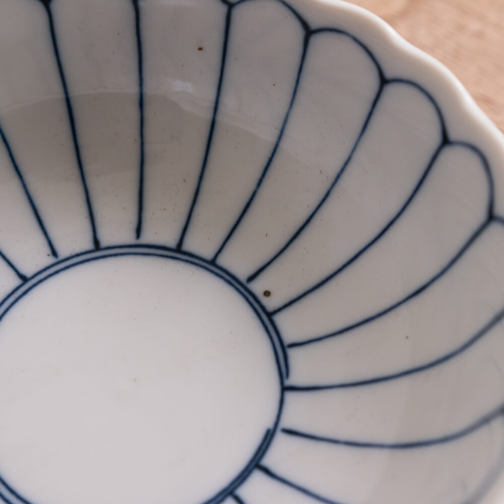 菊線4.5鉢