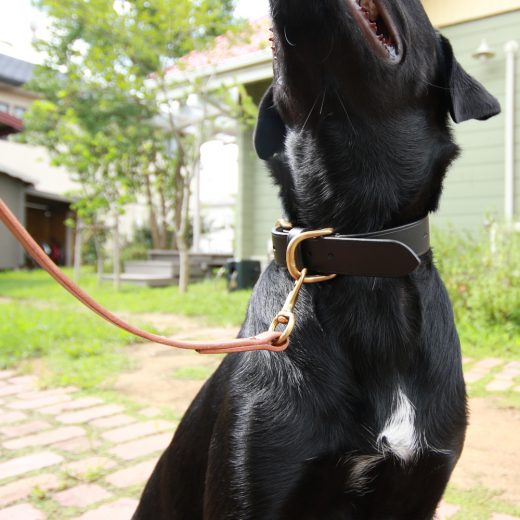 cocochi Original 　Dog Collars 首輪