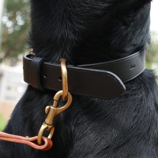 cocochi Original Dog Lead<br>ドッグリード