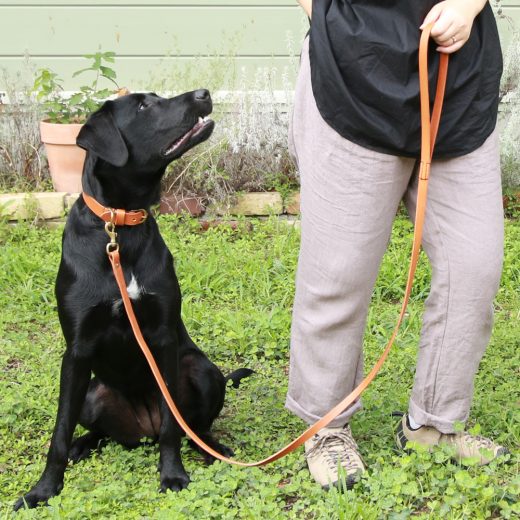 cocochi Original Dog Lead<br>ドッグリード