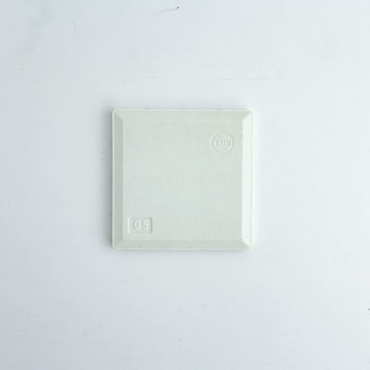 THE COASTER (Gray)