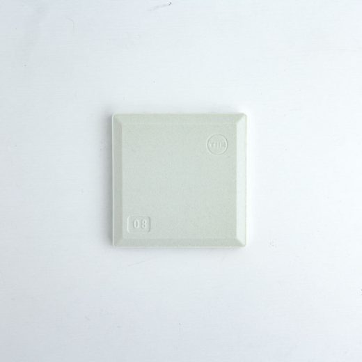 THE COASTER (White)