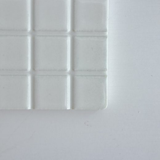 THE COASTER (White)