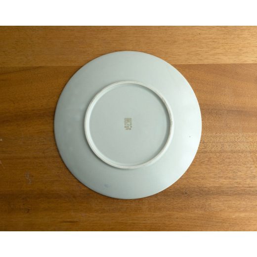 【WEB限定】Focus藤 メタ9寸皿 -器市-