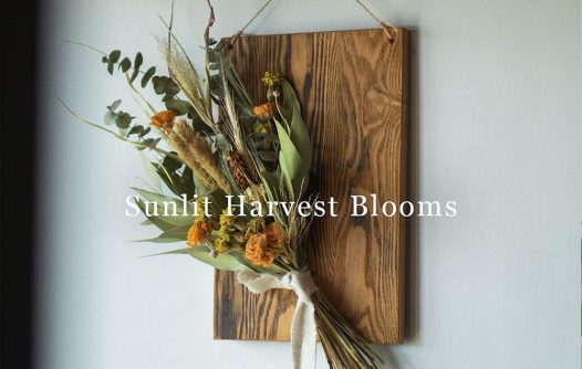 Sunlit Harvest Blooms — 陽だまりに包まれる、季節のドライフラワー装飾