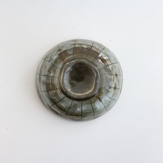 【WEB限定】茶十草 50鉢 -器市-