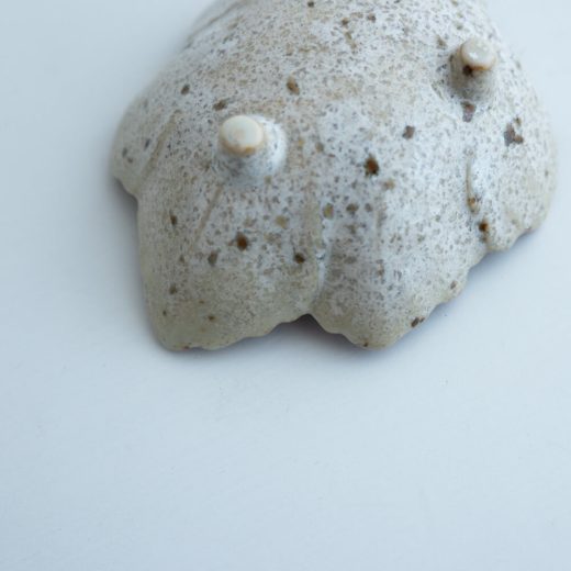 【WEB限定】うのふ 葉型珍味 ピンク -器市-