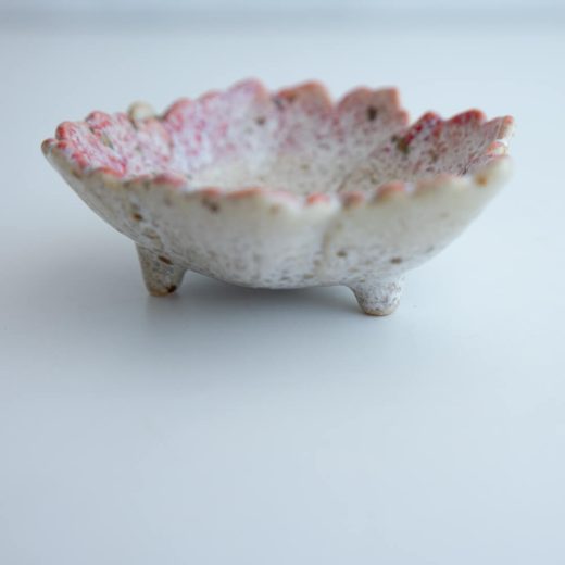 【WEB限定】うのふ 葉型珍味 ピンク -器市-
