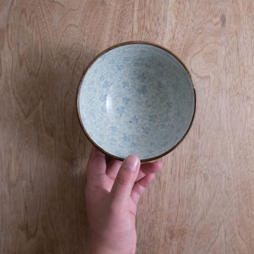 【WEB限定】益子唐草 大平碗 -器市-