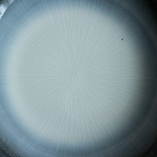 【WEB限定】淵さび菊割4寸皿 灰 -器市-