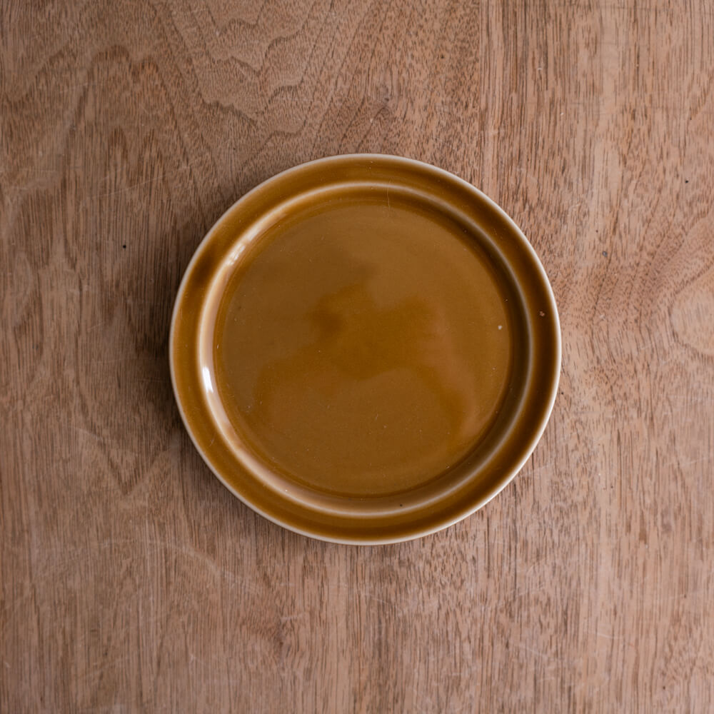 アースカラー リム型45皿 (アンバー) -器市-