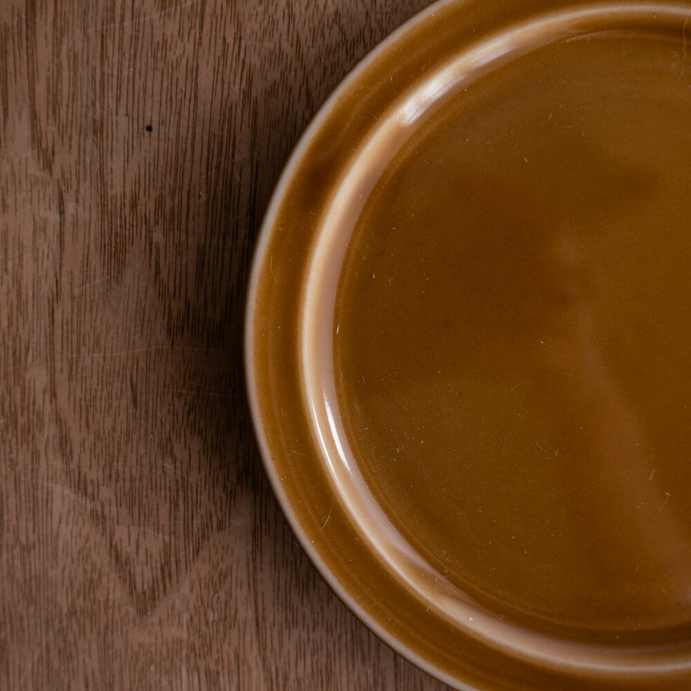 アースカラー リム型45皿 (アンバー) -器市-