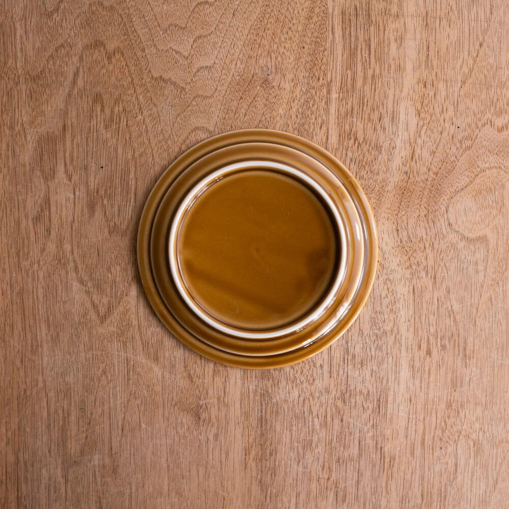 アースカラー リム型45皿 (アンバー) -器市-