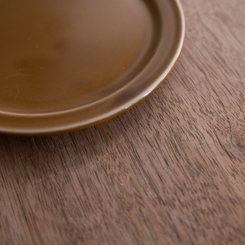 アースカラー リム型45皿 (アンバー) -器市-