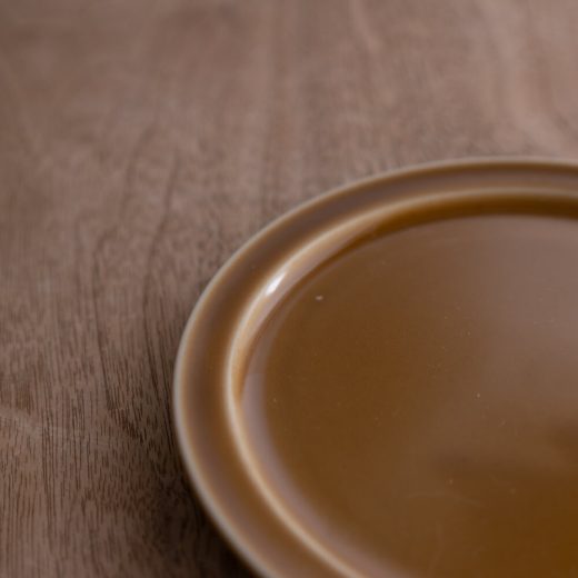 アースカラー リム型45皿 (アンバー) -器市-