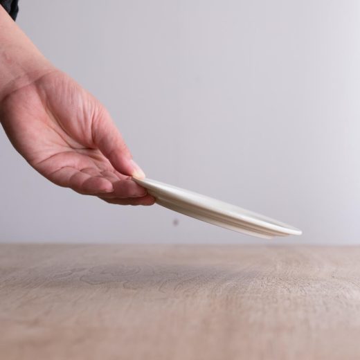 アースカラー リム型45皿 (ホワイト) -器市-