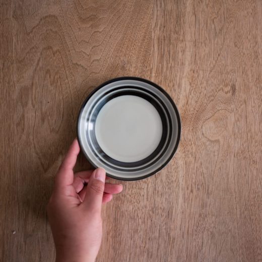 【WEB限定】黒ライン3.5皿 -器市-