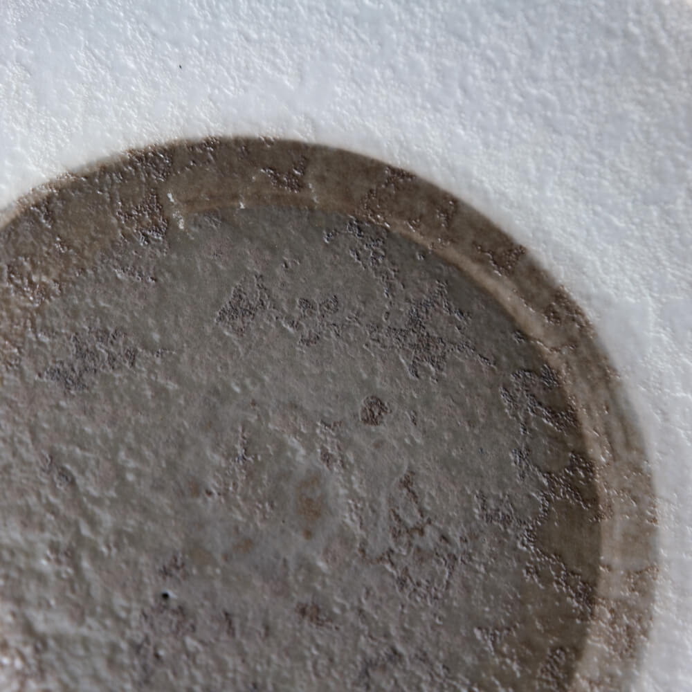 【WEB限定】里化粧刷毛目 輪二重8寸皿 -器市-