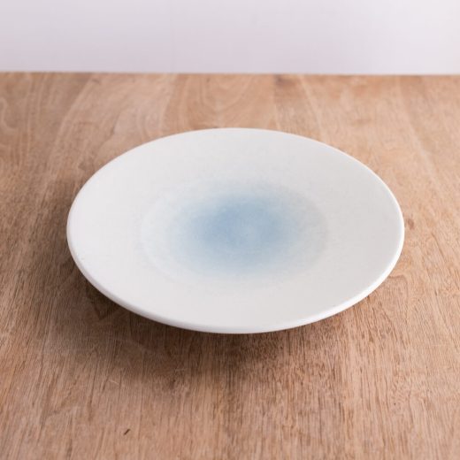 【WEB限定】氷結ブルー輪二重8寸皿 -器市-