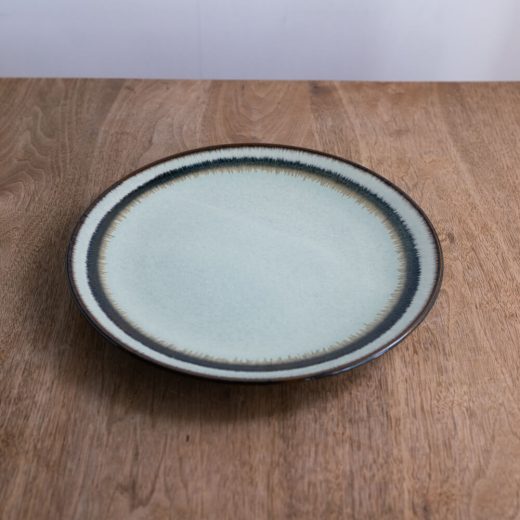 【WEB限定】わさびメタ9寸皿 -器市-