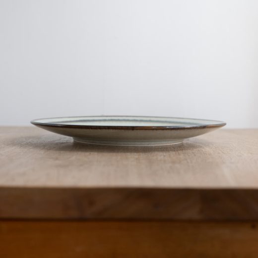 【WEB限定】わさびメタ9寸皿 -器市-