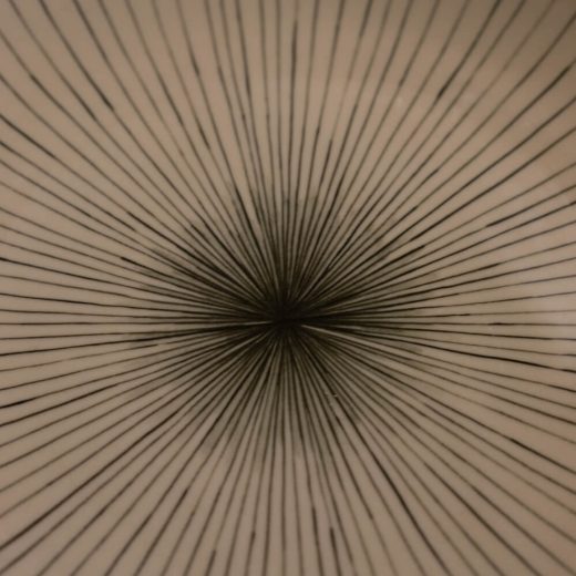 【WEB限定】土灰十草 丸9寸皿 -器市-