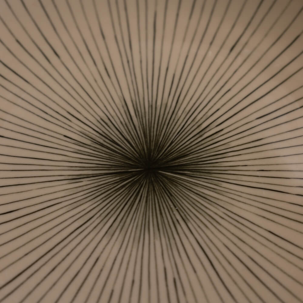 【WEB限定】土灰十草 丸9寸皿 -器市-