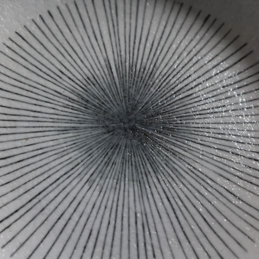 【WEB限定】郷巻十草7寸パスタ皿 -器市-