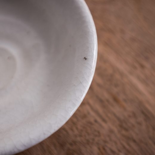 【WEB限定】白志野 50鉢 -器市-