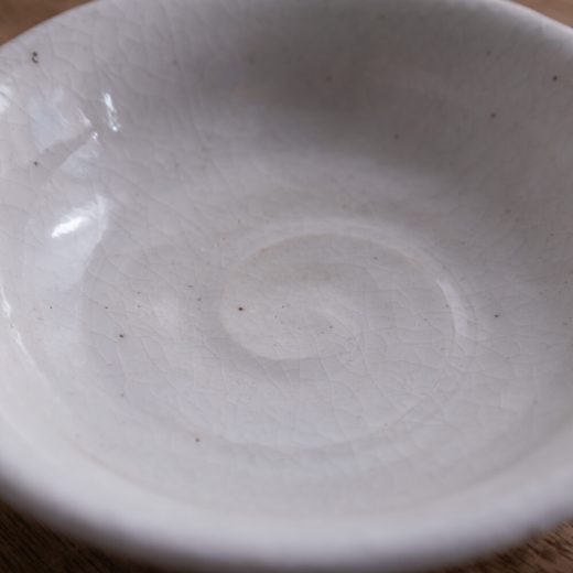 【WEB限定】白志野 50鉢 -器市-