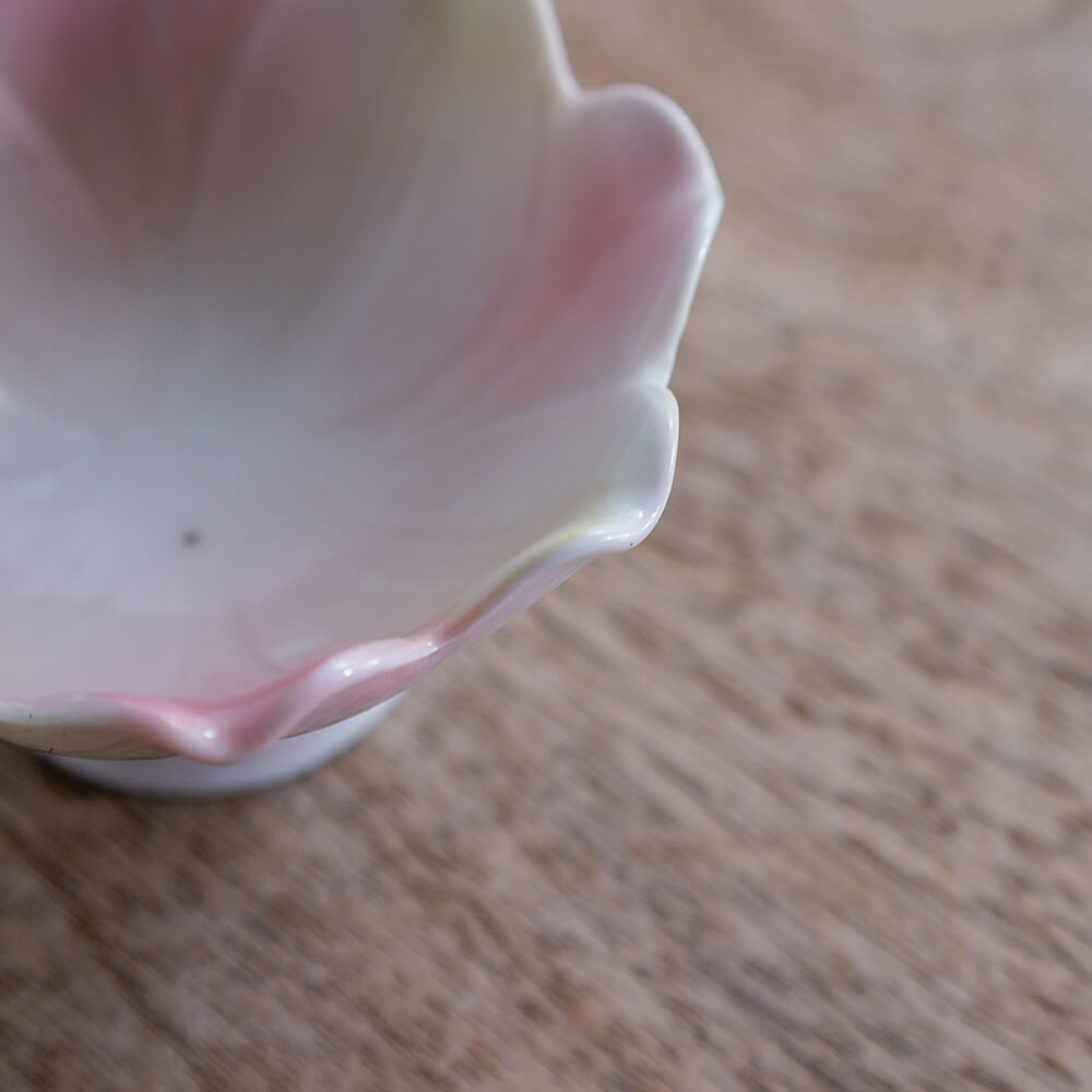 【WEB限定】パステル8.5cm花型高台珍味 -器市-