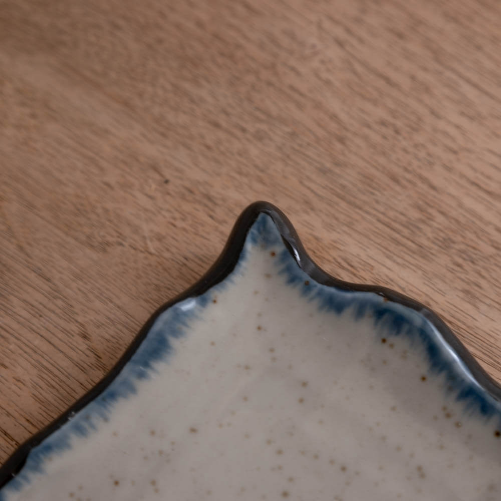 【WEB限定】淵さび削り型サンマ皿 -器市-