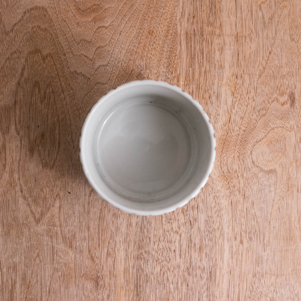 【WEB限定】十草 飯器 -器市-