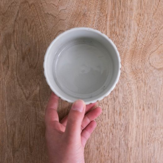 【WEB限定】十草 飯器 -器市-