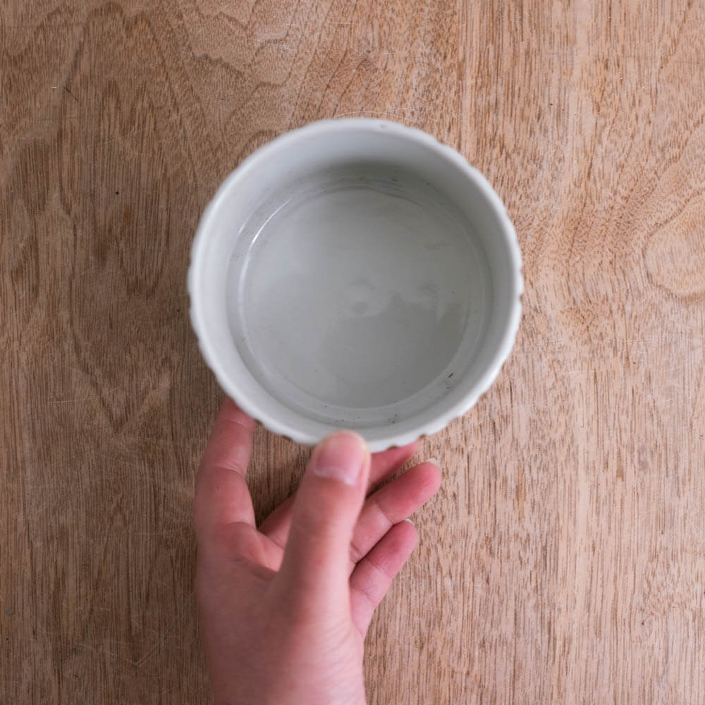 【WEB限定】十草 飯器 -器市-