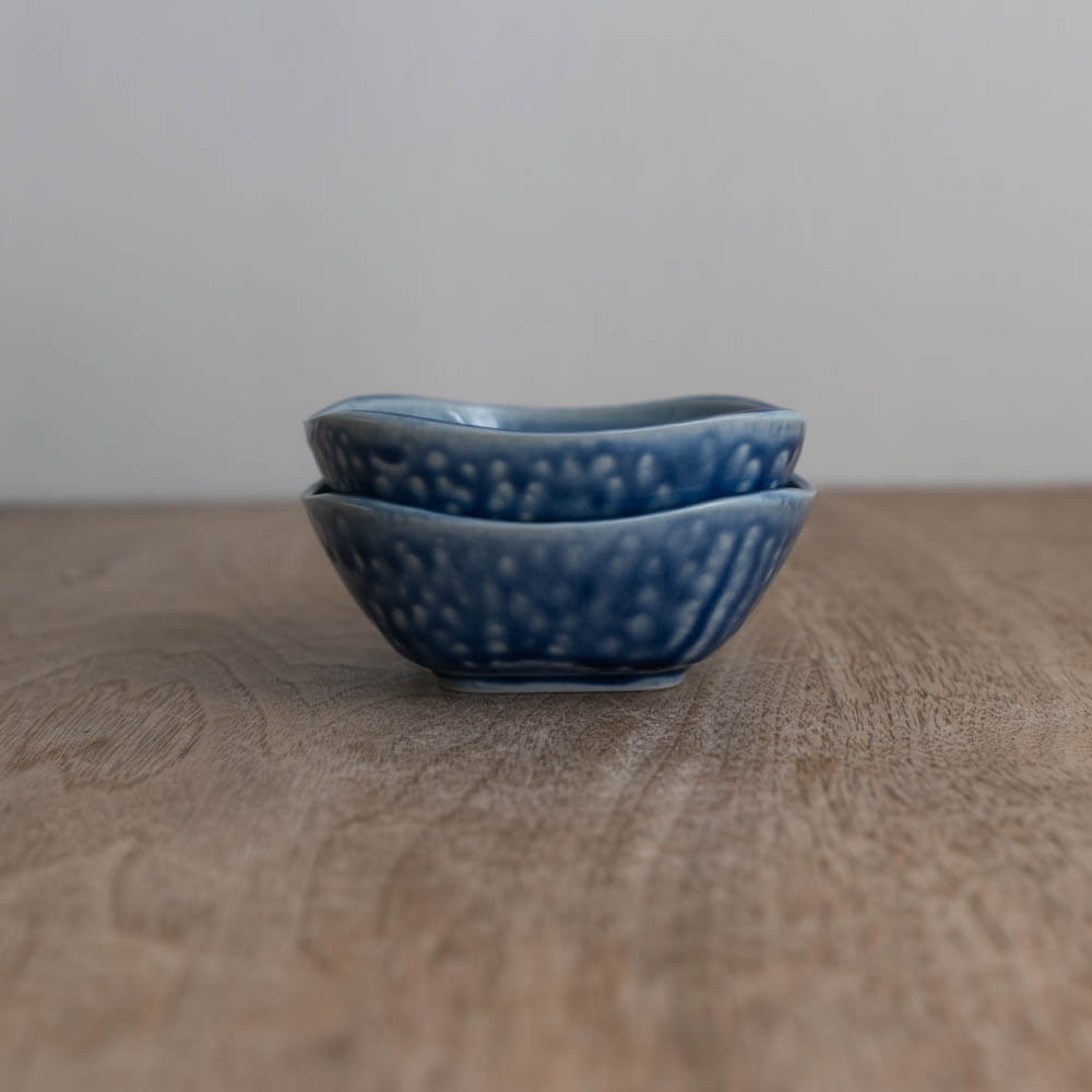 【WEB限定】お通し鉢 清流 -器市-