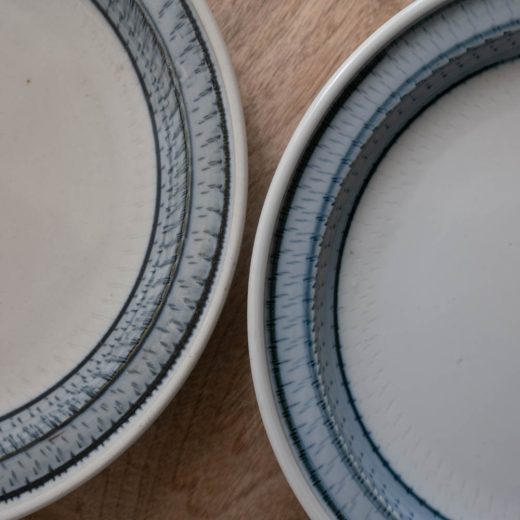 青リムカンナ クープ皿 -器市-