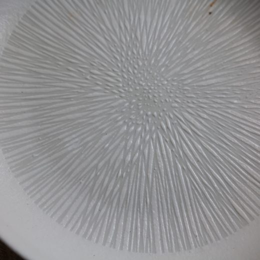 KIZAMI 白 7寸パスタ皿 -器市-