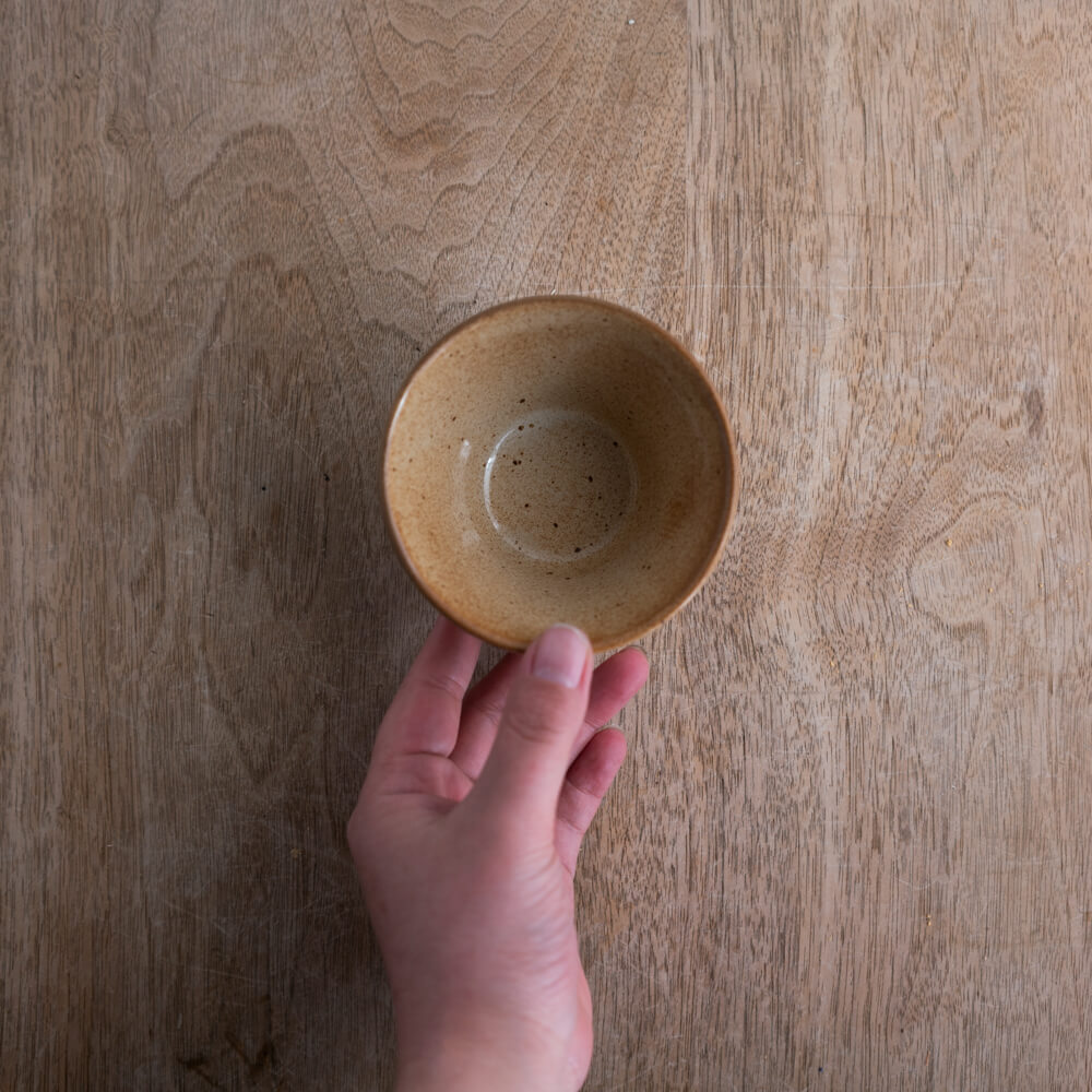 MINO 削ぎ サラダ (S) IV -器市-