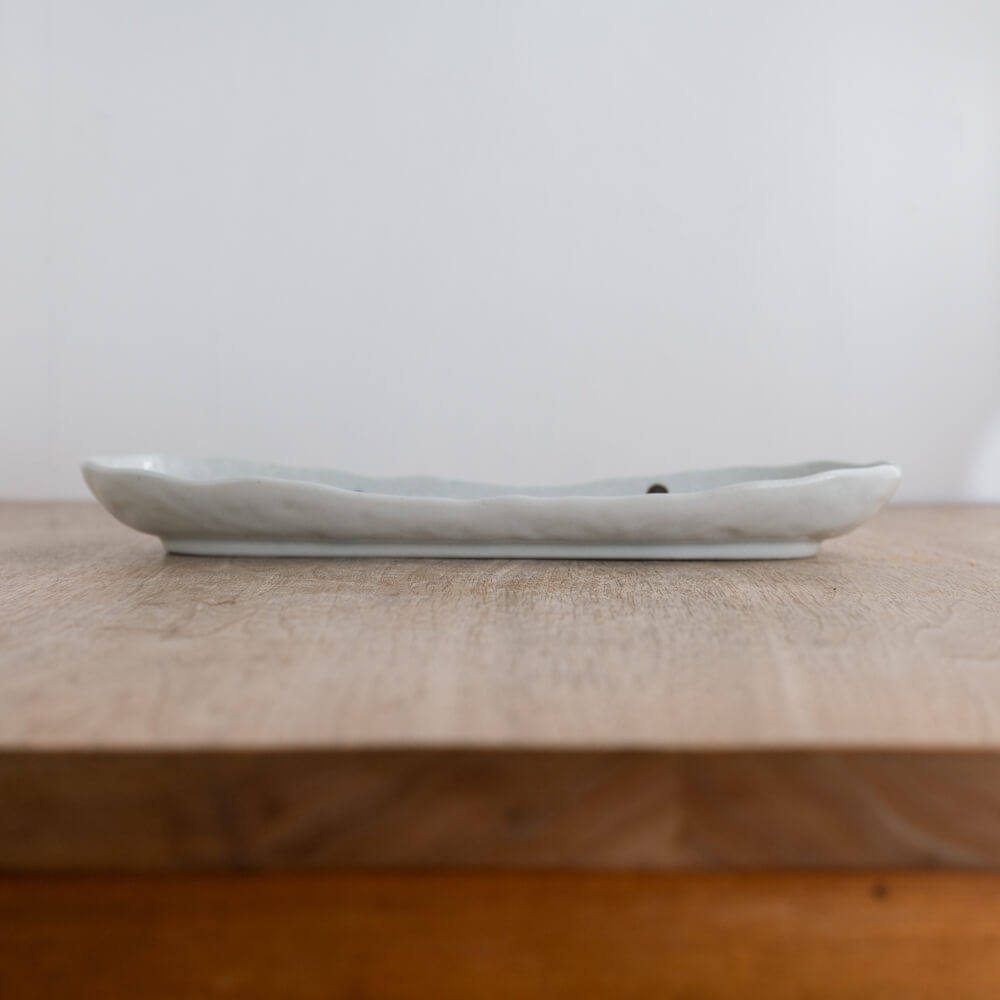 【WEB限定】白彩ドット小判深皿 -器市-